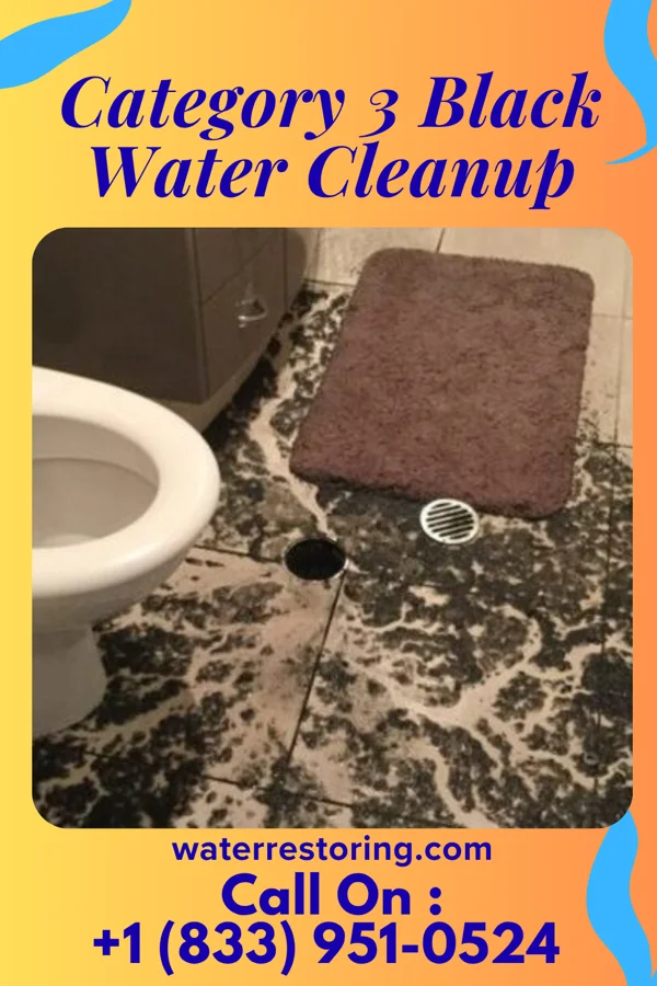 Category 3 Black Water Cleanup in West Valley City, UT