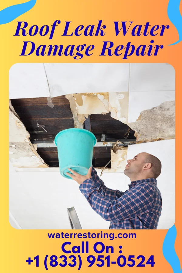 Roof Leak Water Damage Repair in West Valley City, UT